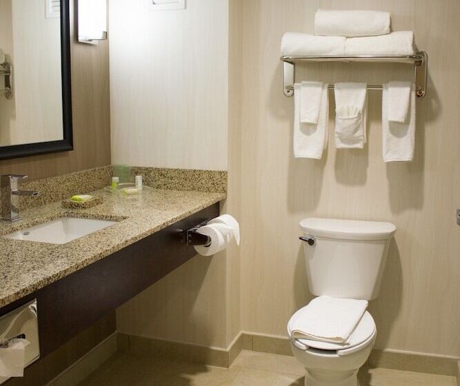 Holiday Inn Hotel & Suites Hermosillo Aeropuerto, An Ihg