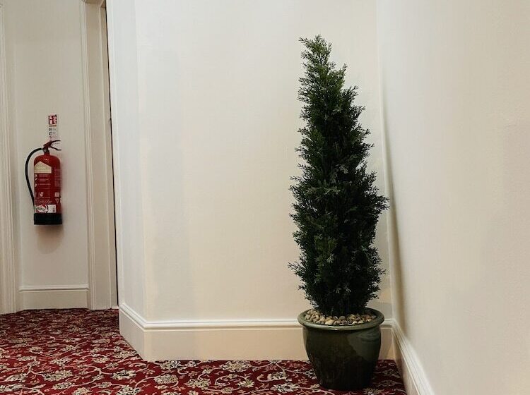 בית מלון כפרי Hudson