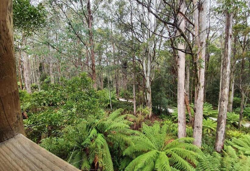 فندق Lemonthyme Wilderness Retreat