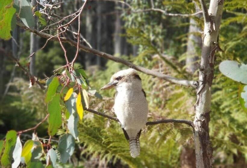 فندق Lemonthyme Wilderness Retreat