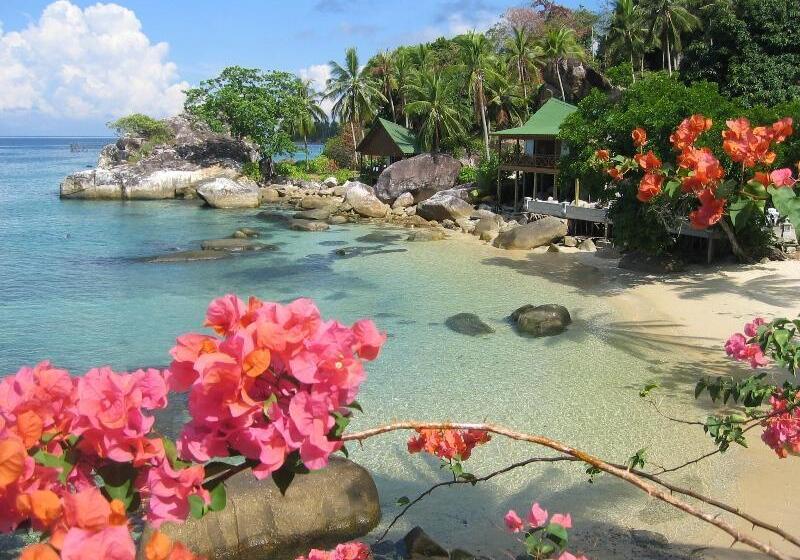 בית מלון כפרי Minang Cove Resort