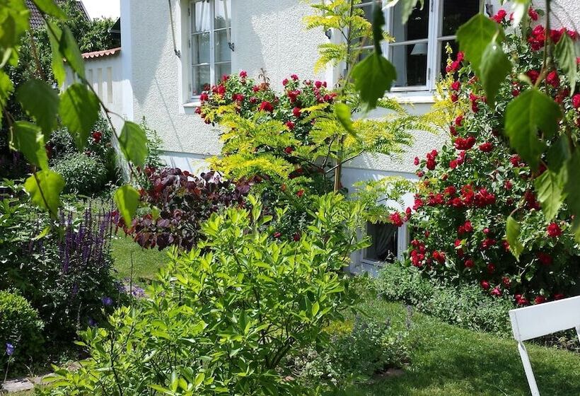 בית מלון כפרי Nya Pallas