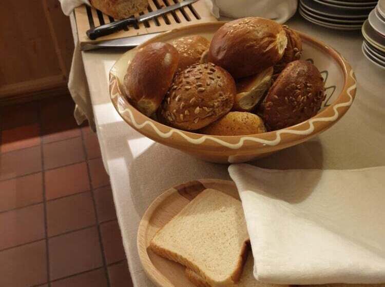 בית מלון כפרי Nya Pallas