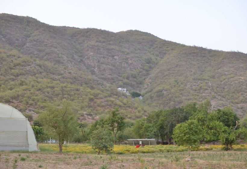 Отель Pushkar Heritage