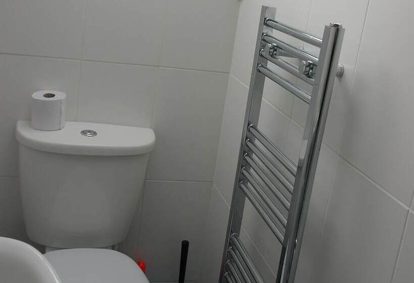 בית מלון כפרי The Swan