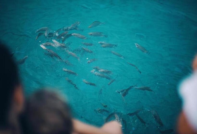 فندق The Beach Natural Resort Koh Kood