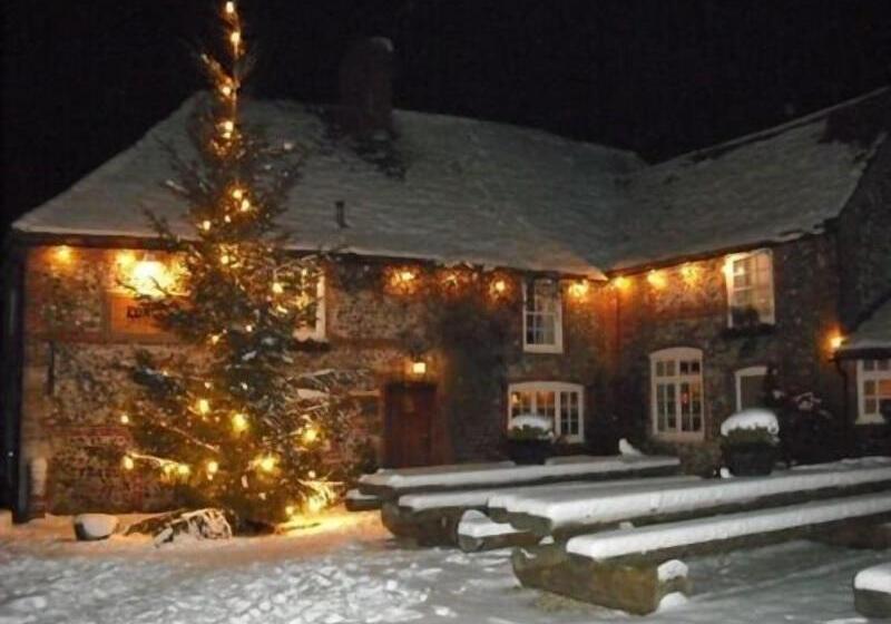 호텔 The Fox Goes Free