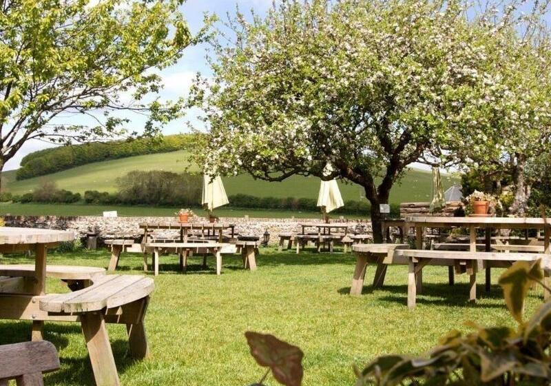 호텔 The Fox Goes Free