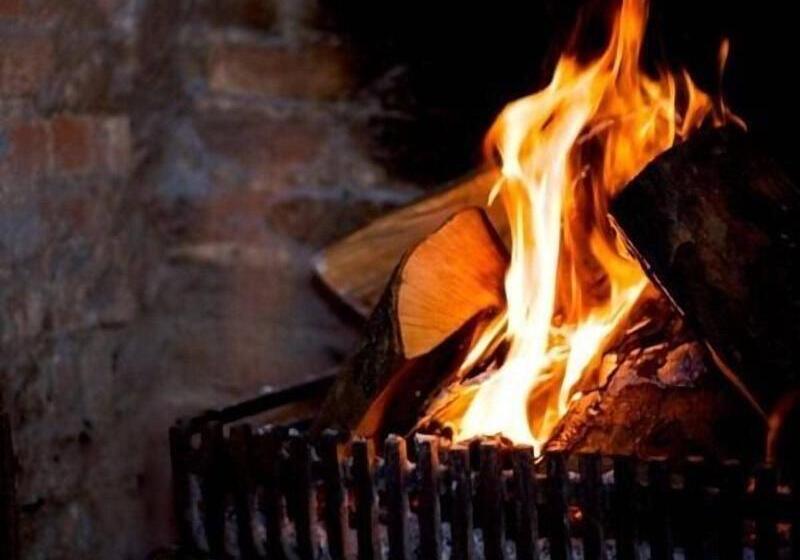 호텔 The Fox Goes Free