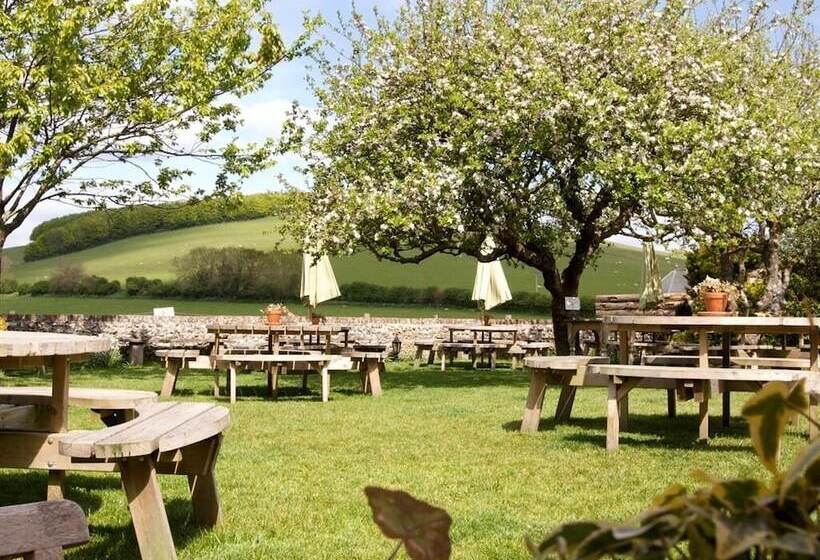 호텔 The Fox Goes Free