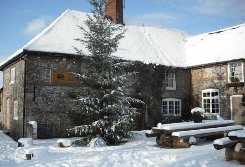 호텔 The Fox Goes Free