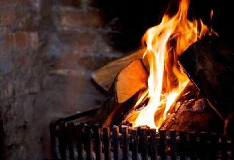 호텔 The Fox Goes Free