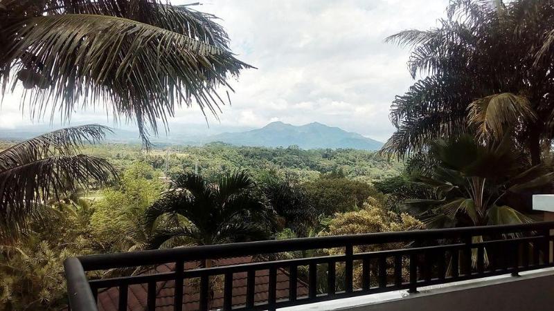 The Oxalis Regency Hotel Magelang