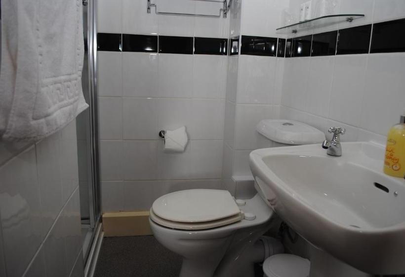 فندق The Patricia