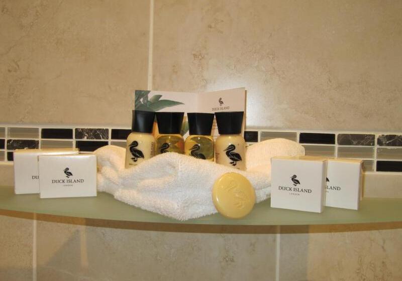 בית מלון כפרי The Shirley