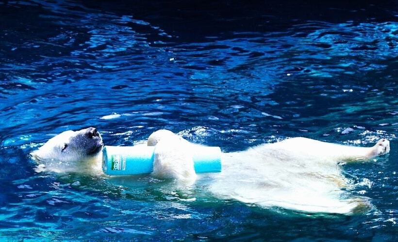 בית מלון כפרי Tokyu Stay Sapporo