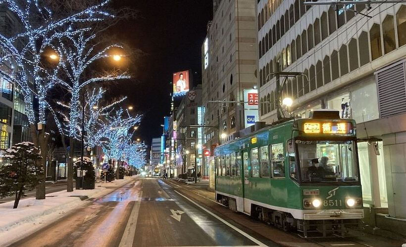 בית מלון כפרי Tokyu Stay Sapporo