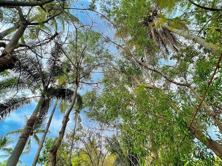 ホテル Villa Bulan Madu Gili Air
