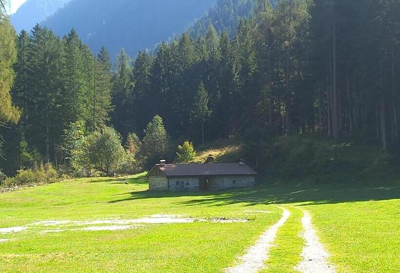 B&b Piazzi Di Katia