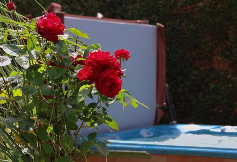 Bed and Breakfast House Rhodopi