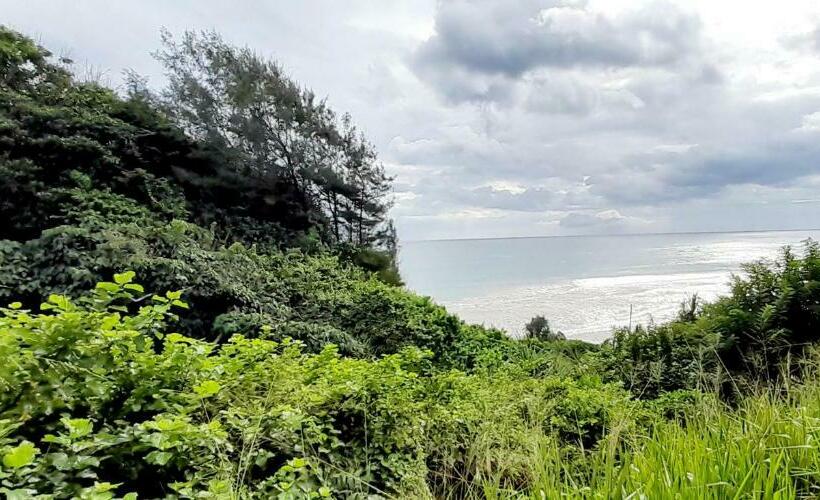 住宿加早餐  Isuru Holiday Inn