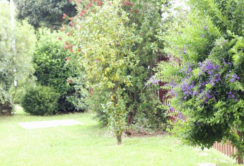 Horizon Bed And Breakfast