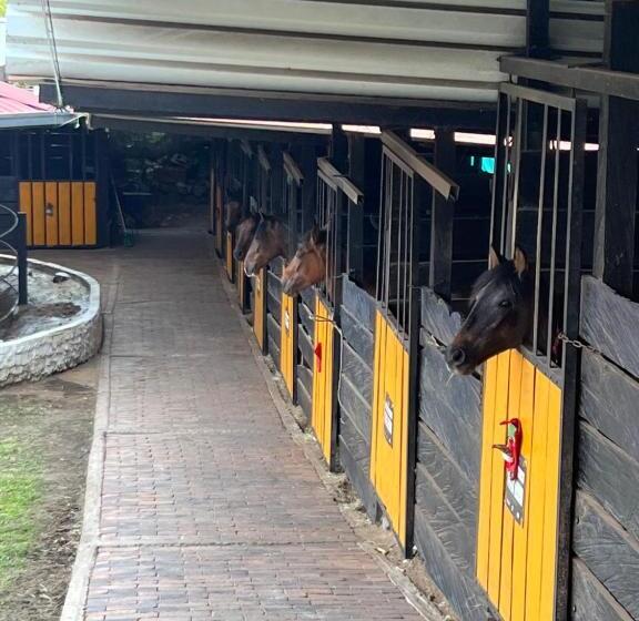 Отель Criadero Las Tres Marías Hospedaje Rural Mi Refugio