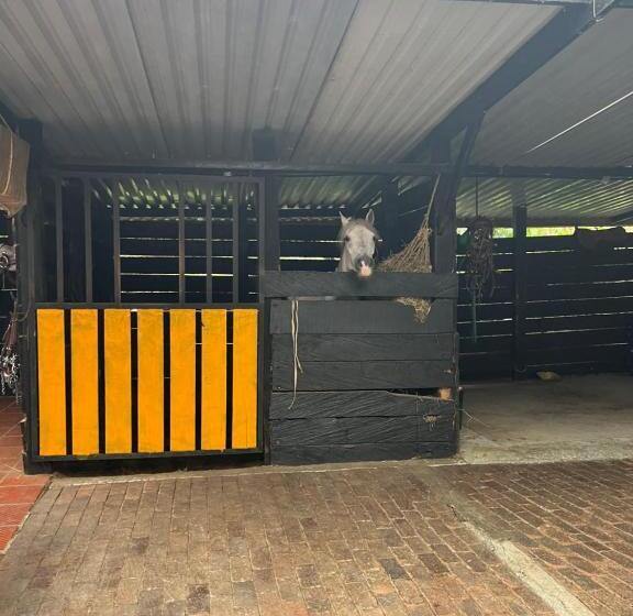 Отель Criadero Las Tres Marías Hospedaje Rural Mi Refugio