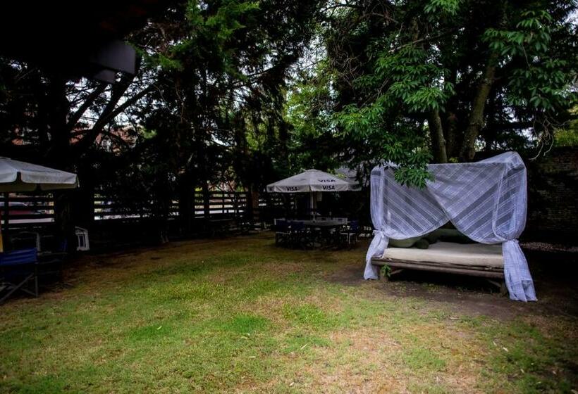 فندق Los Pinos Punta