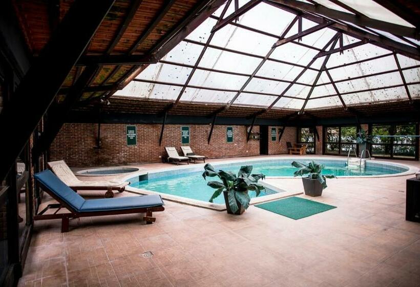 فندق Los Pinos Punta