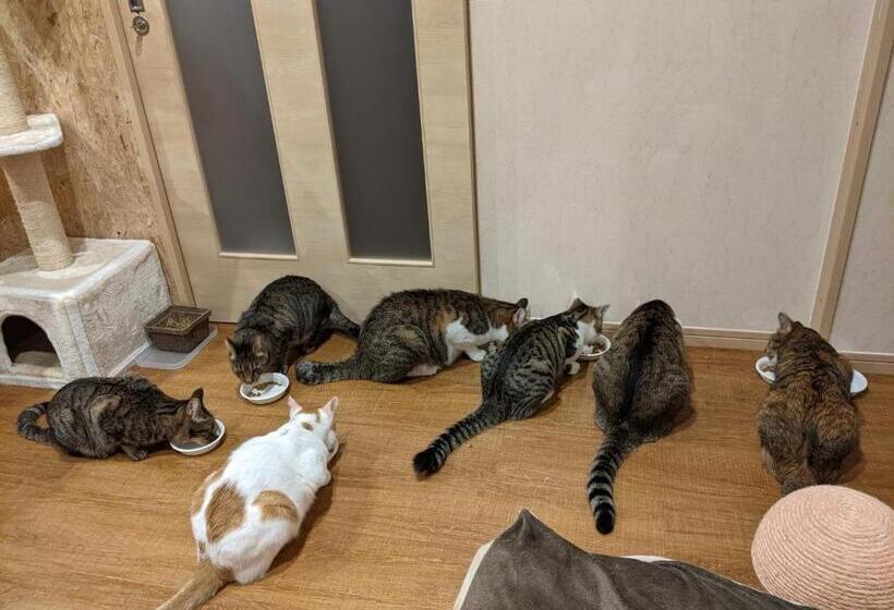 Отель Pension Alba   Vacation Stay 70925v