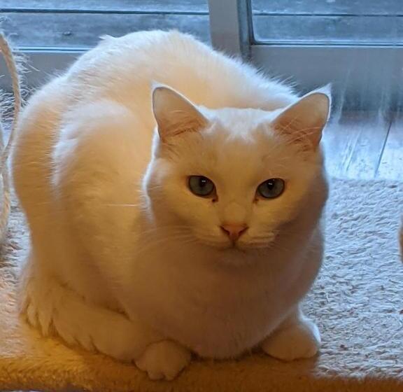 Отель Pension Alba   Vacation Stay 70925v