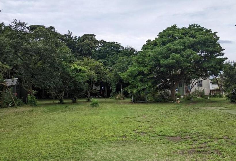 Отель Pension Alba   Vacation Stay 70972v