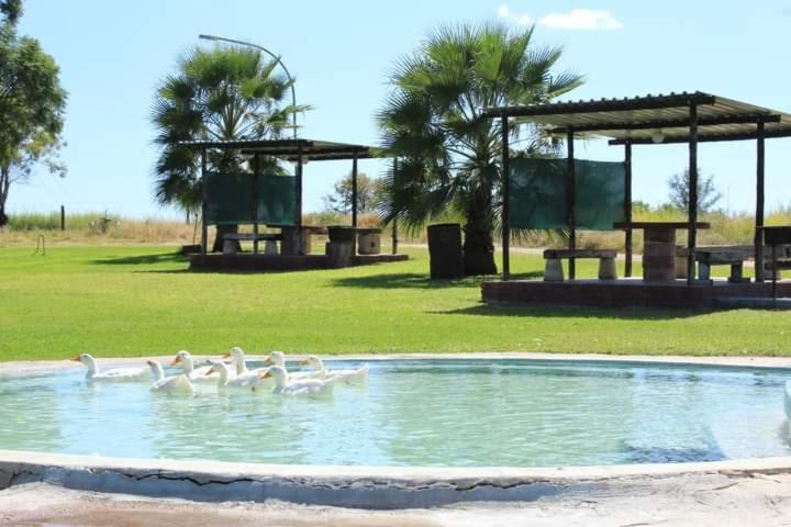 Pensión Bambi Lodge