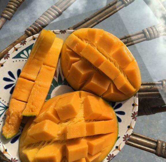 膳宿费 Casa Tortuga