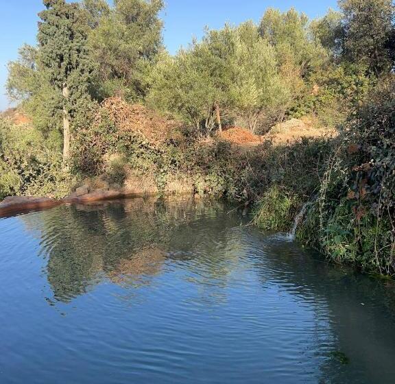 پانسیون Dar Assounfou