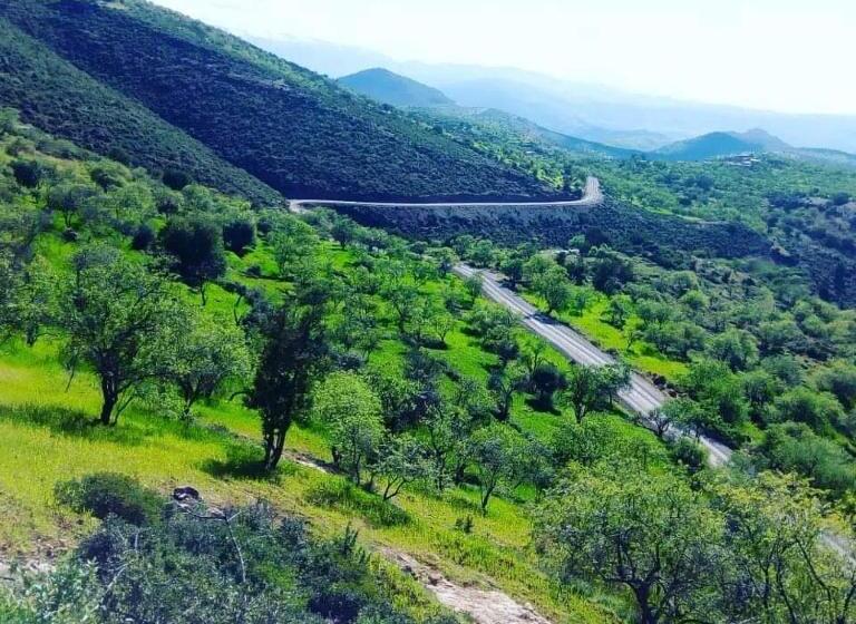 پانسیون Dar Assounfou