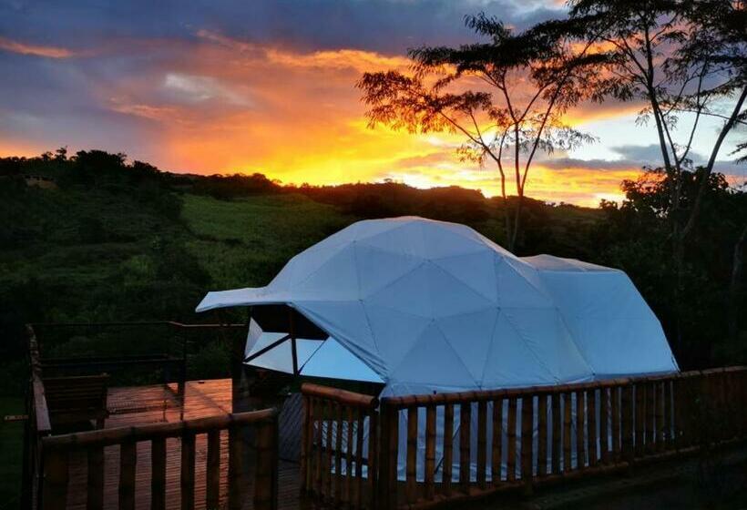 Pensión Hostal Proximo Domingo