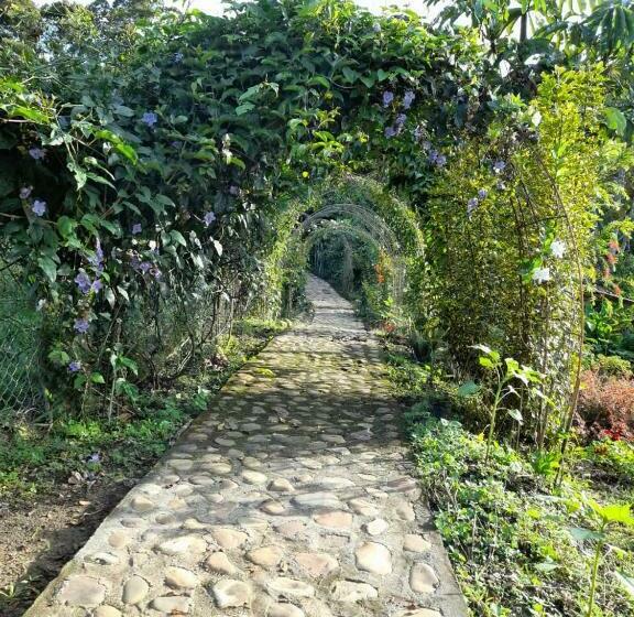 Pensión Hostal Proximo Domingo