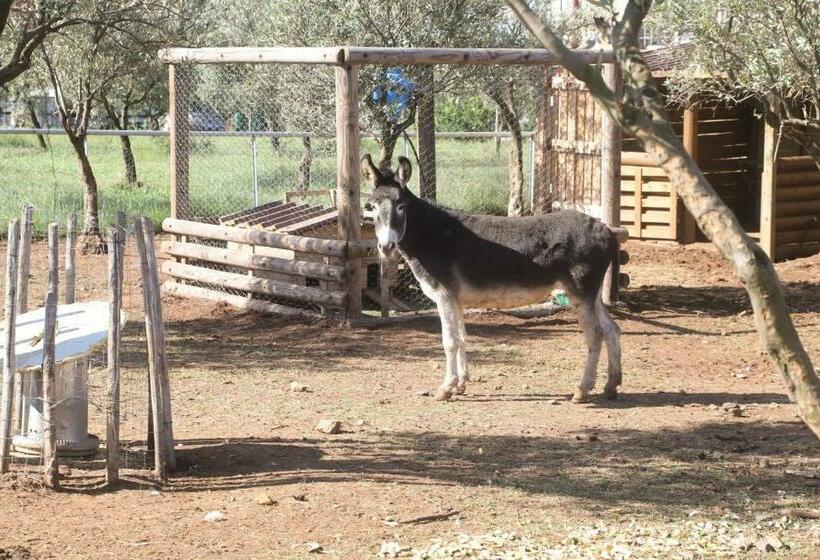 膳宿费 Hostaria Delle Memorie