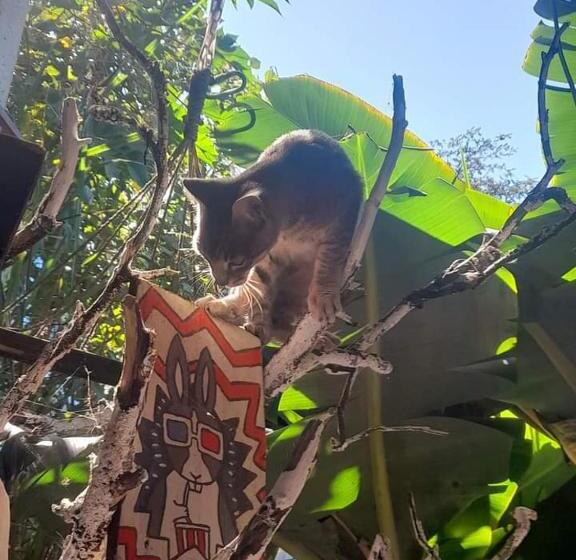 پانسیون Matilda Ec