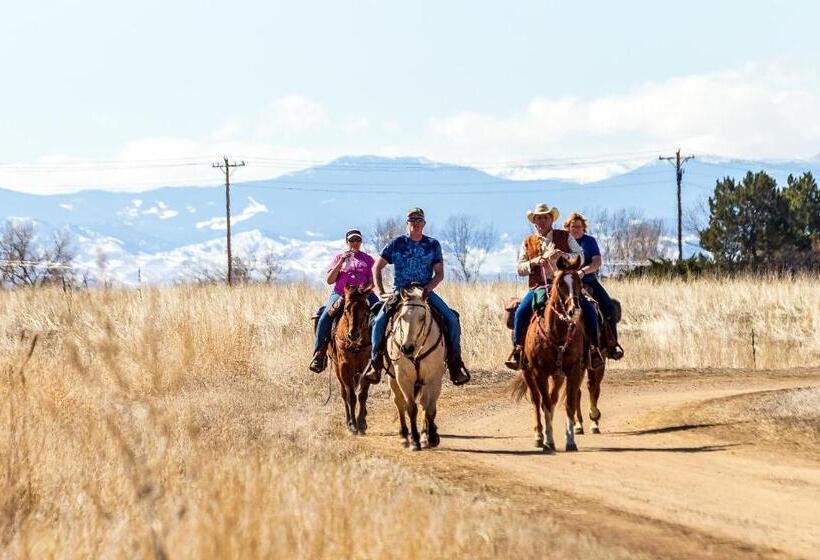 بنسيون Private Festive Room With Desk In The Country