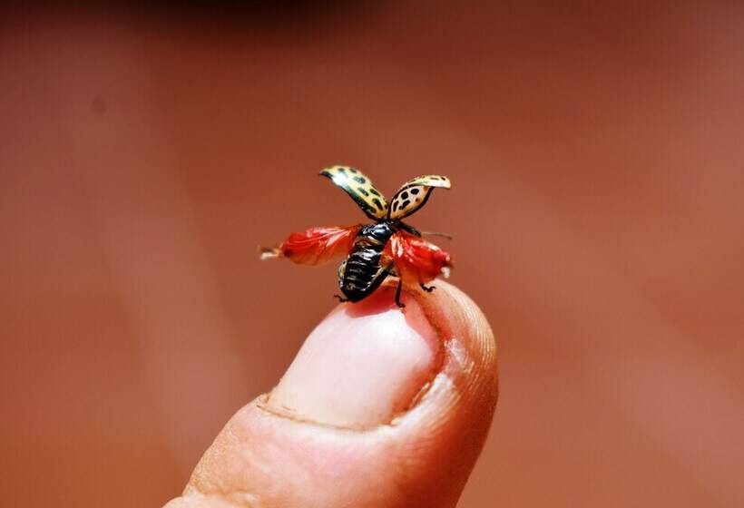 تختخواب و صبحانه Casa San Martín