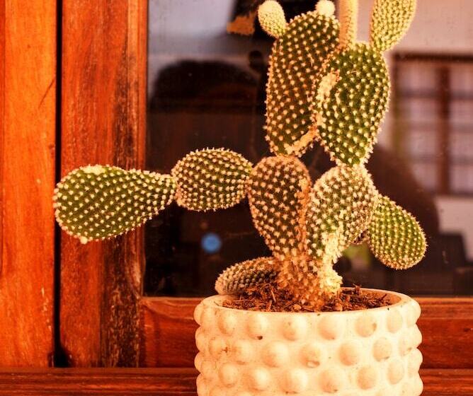 تختخواب و صبحانه Casa San Martín