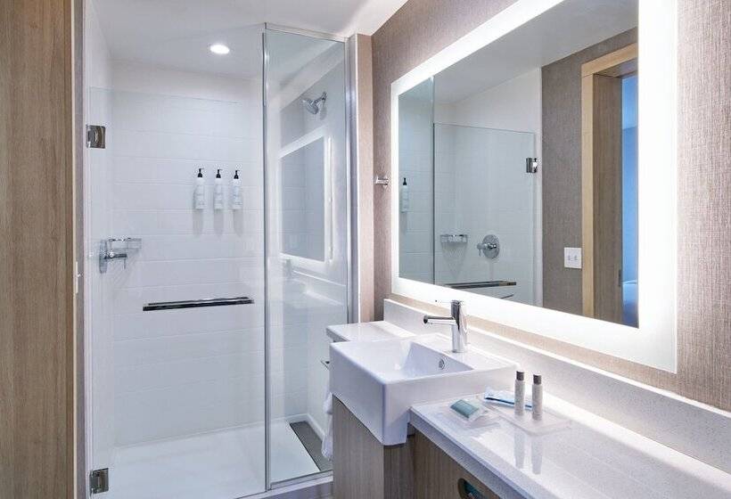 فندق Springhill Suites By Marriott Detroit Dearborn