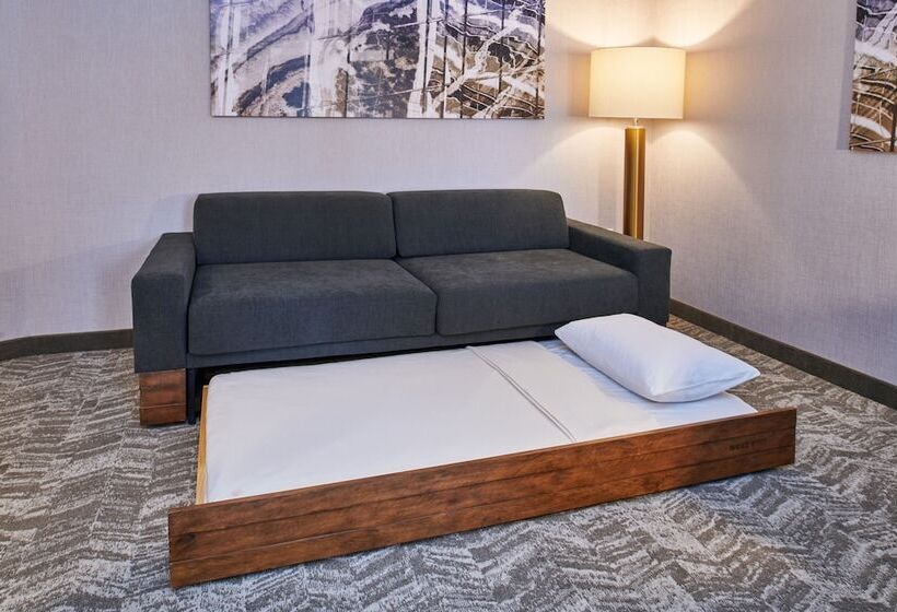 فندق Springhill Suites By Marriott Detroit Dearborn