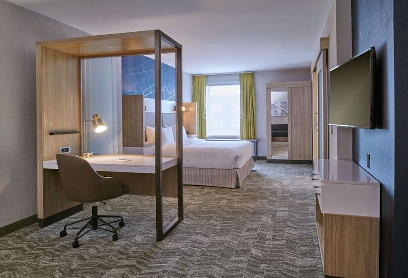 فندق Springhill Suites By Marriott Detroit Dearborn