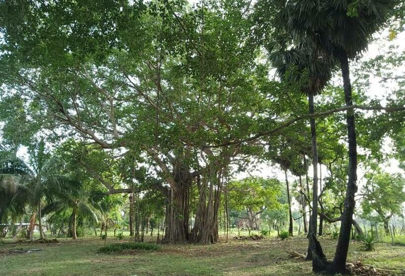 ペンション Ravanapuri Ventures