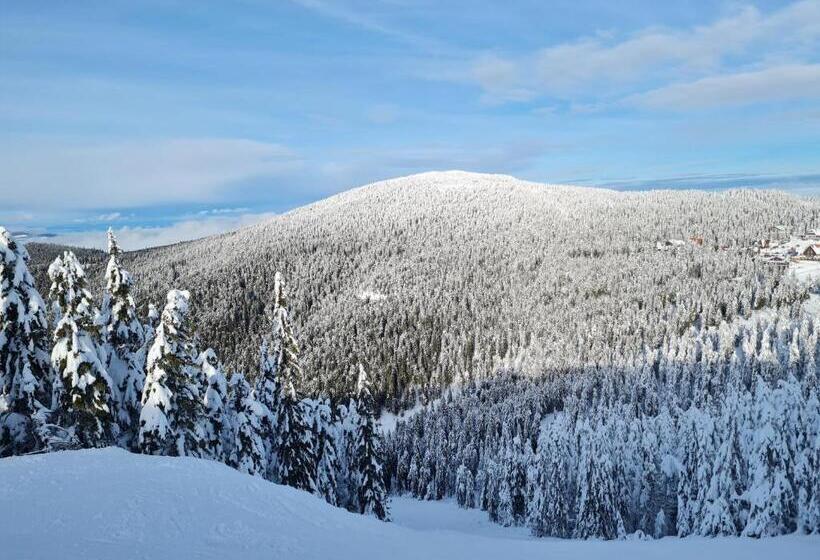 אתר נופש Harghita Log Houses