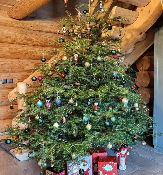 リゾートホテル Harghita Log Houses